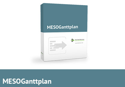 MESOGanttplan